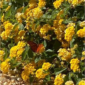 Meet your Posher, Riley